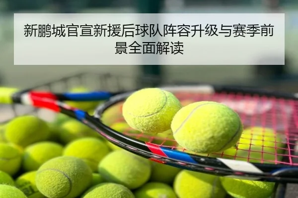 新鹏城官宣新援后球队阵容升级与赛季前景全面解读