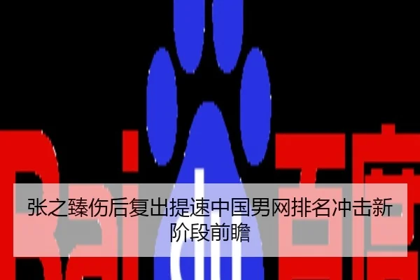 张之臻伤后复出提速中国男网排名冲击新阶段前瞻