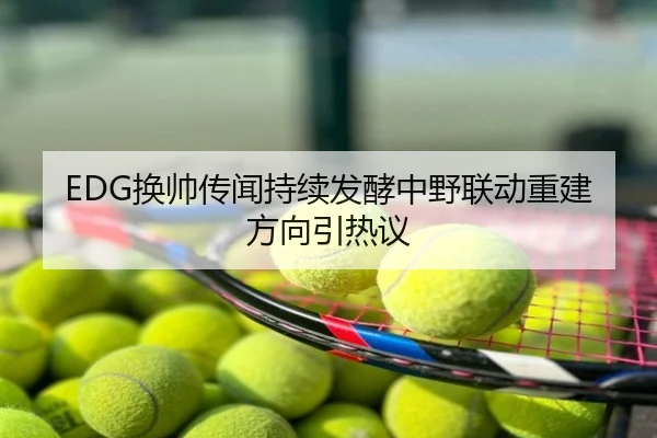 EDG换帅传闻持续发酵中野联动重建方向引热议