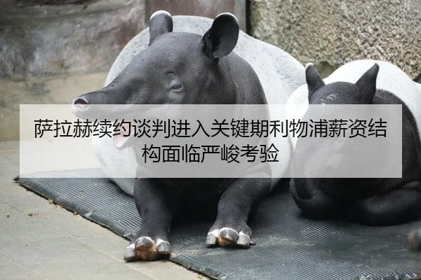 萨拉赫续约谈判进入关键期利物浦薪资结构面临严峻考验